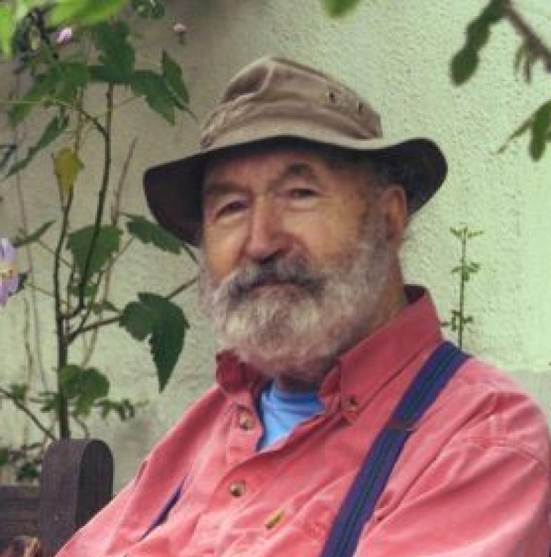 Jane O'Malley exhibition opens on Saturday in Butler Gallery