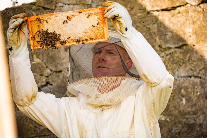 Kilkenny people - Become a beekeeper and save the planet