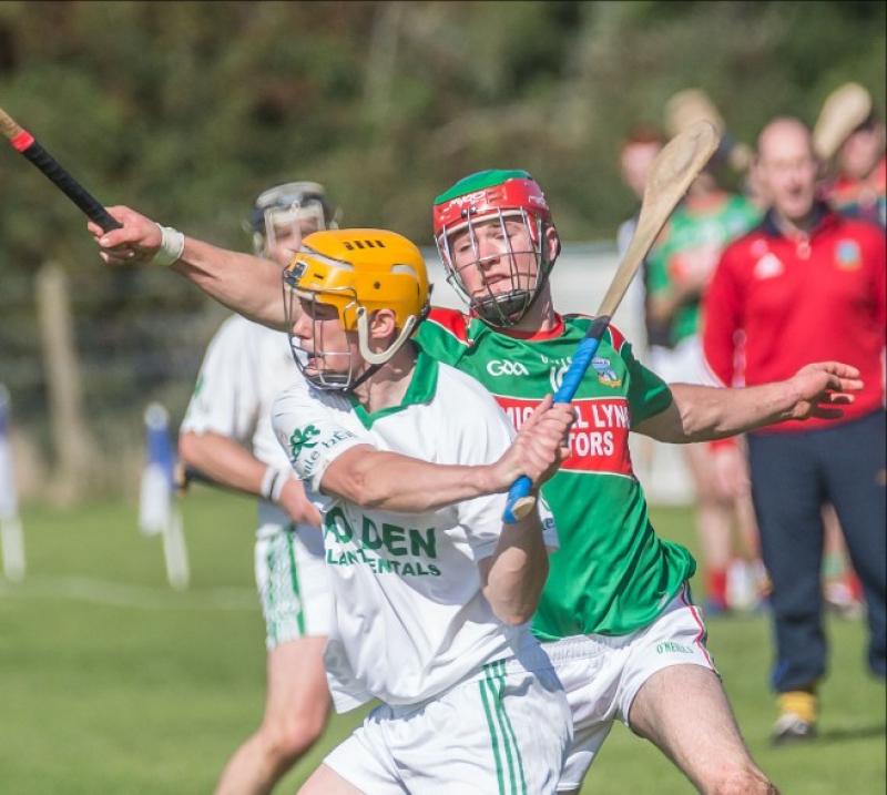 Kilkenny hurling: Richie Reid available for Cork game despite seeing red