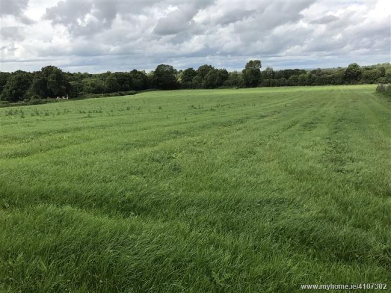 important farm events in Kilkenny