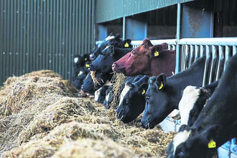 'Young farmers key to agricultural emissions reductions' - Macra na Feirme 
