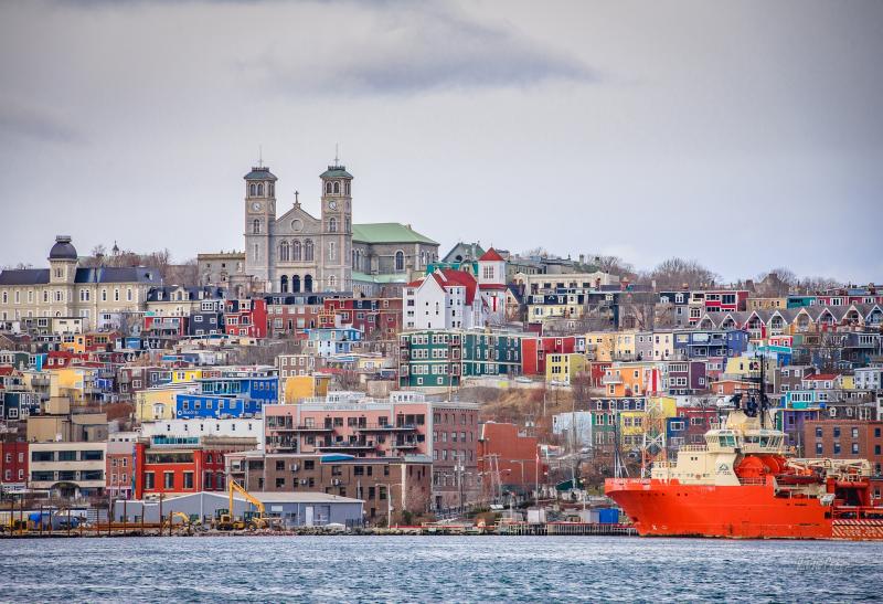 NEWFOUNDLANDERS KILKENNY