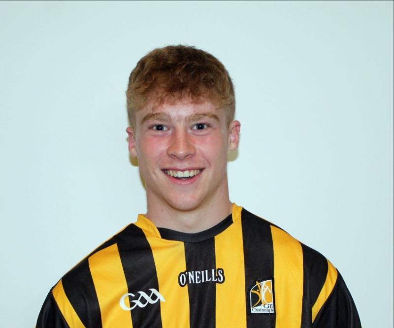 Kilkenny hurling: good win over Waterford opens up League for Cats