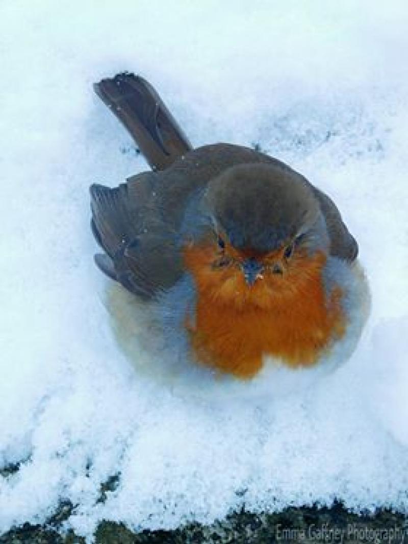 Lovely picture from Emma Marie in Kilkenny City