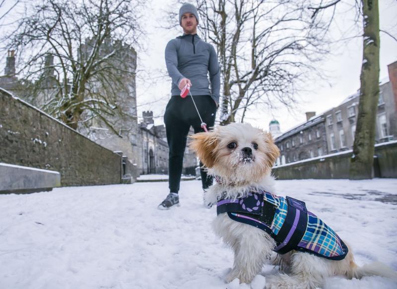 Public amenities and offices to close for next two days in Kilkenny