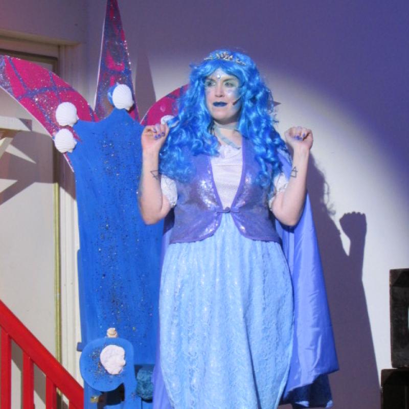 Panto time in Gowran Kilkenny