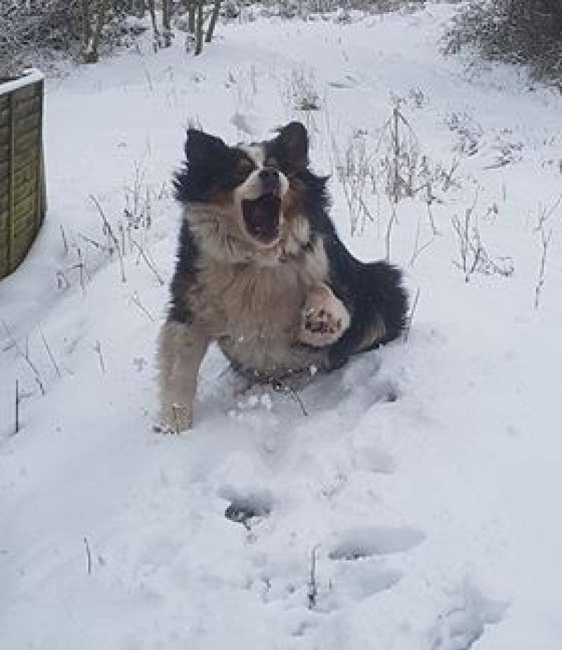 Storm Emma costs to snowball in Kilkenny 