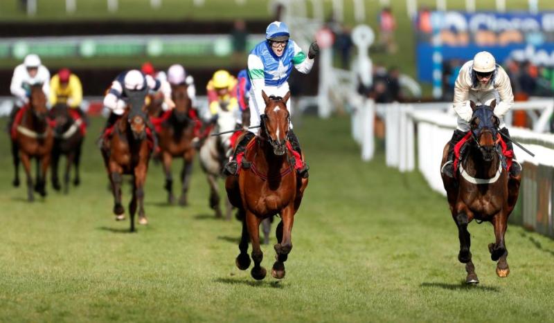 Tipperary punter cleans up at Cheltenham with &euro;10,000 scoop