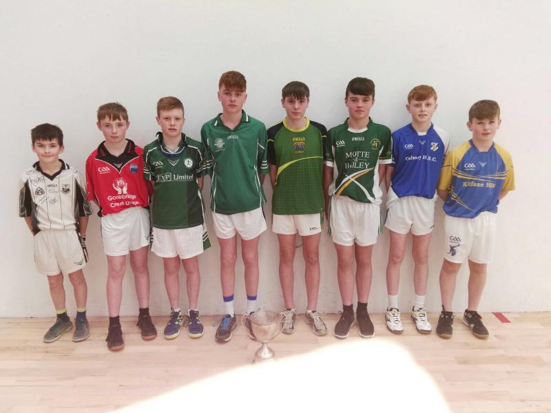 Kilkenny handball: players enjoy their golden moments