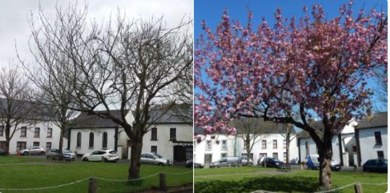 Photos, a year apart,  from Inistioge tell the story of Kilkenny  weather over 12  months