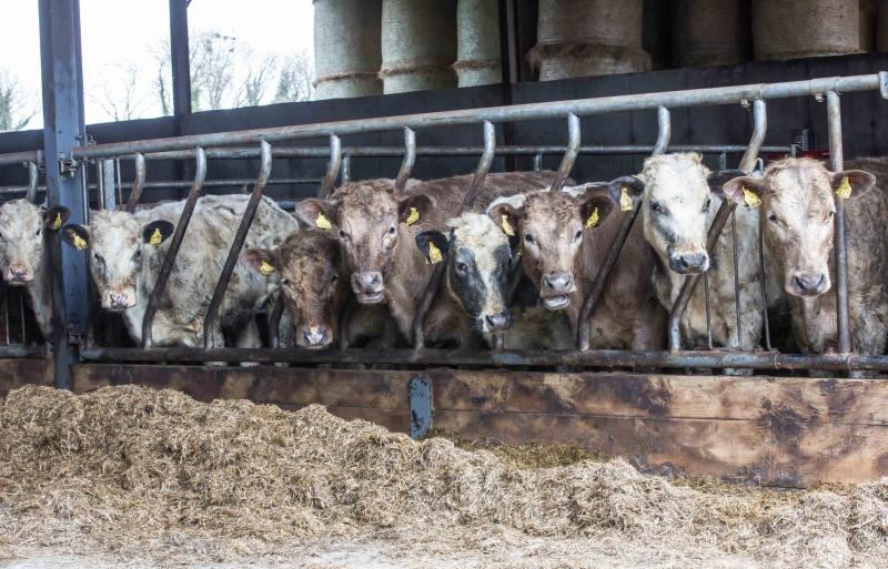 Column: Farmers are the latest victims of ongoing bouts of extreme weather