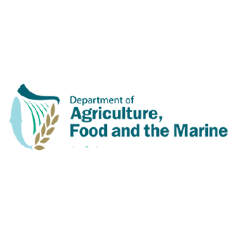 Breaking: Horses seized over welfare concerns from farm in South Kilkenny