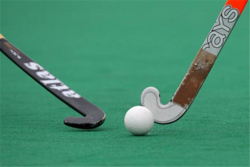 Leinster Ladies Hockey League Division 12; Kilkenny Seconds 6 Loreto Sevenths 1