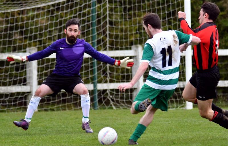 Deen Celtic Evergreen