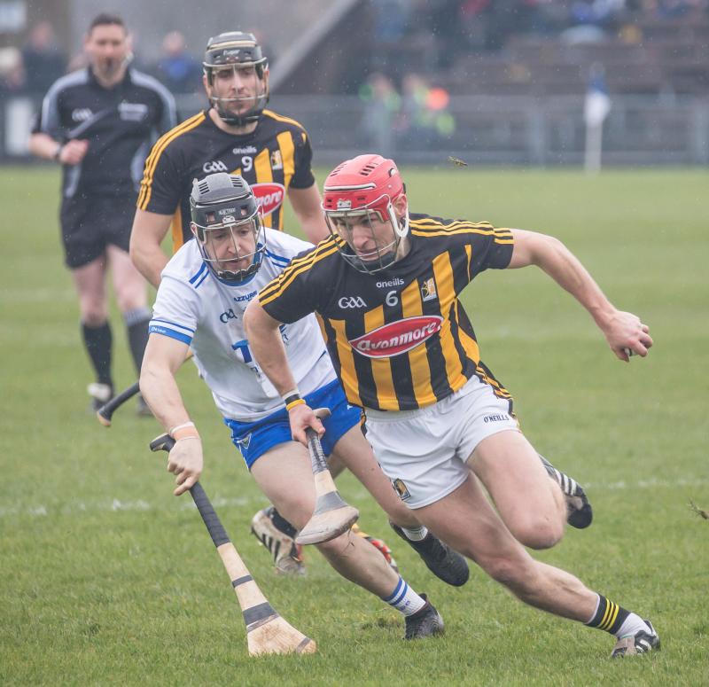 Kilkenny hurling: nice Spring and with hotter Summer to come, perhaps?