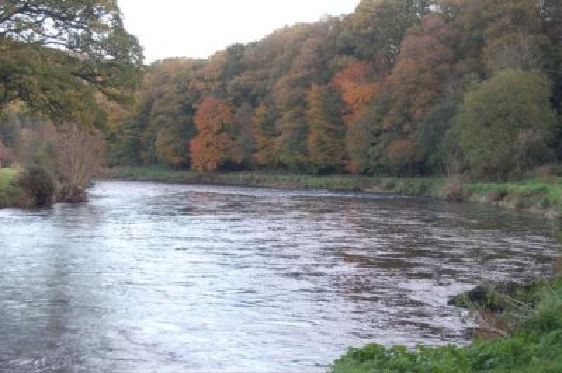 River Nore Special Area of Conservation