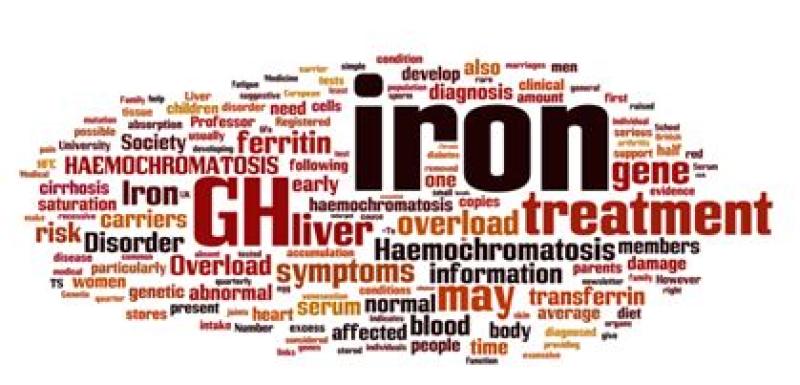 Visit Haemochromatosis Awareness stand  on Thursday June 7 in Market Cross, Kilkenny