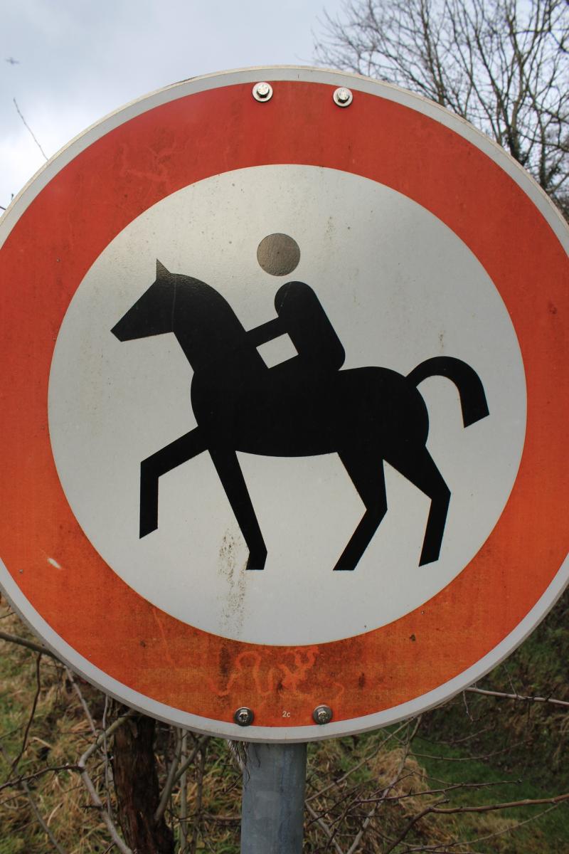 HORSE TRAIL