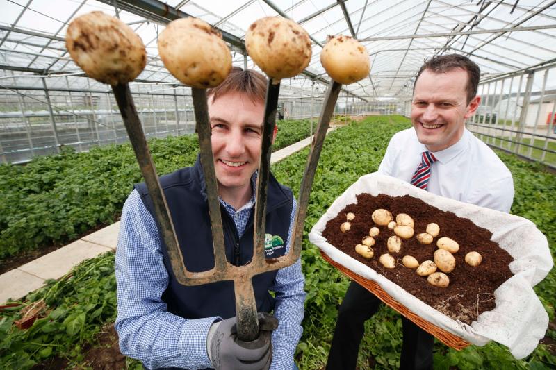 Piltown spuds are coming to you on Thursday