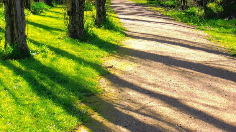 Brand new walkway with a twist set to open in Kilkenny!