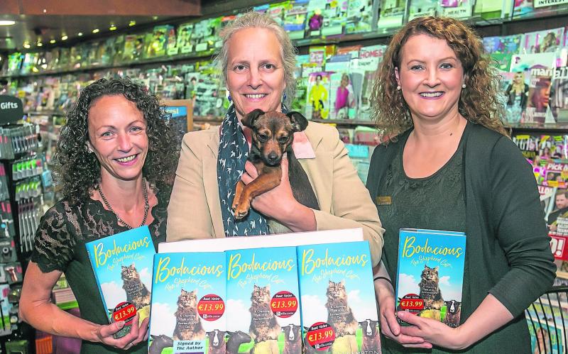 Good gacious - It's Bodacious The Shepherd Cat
