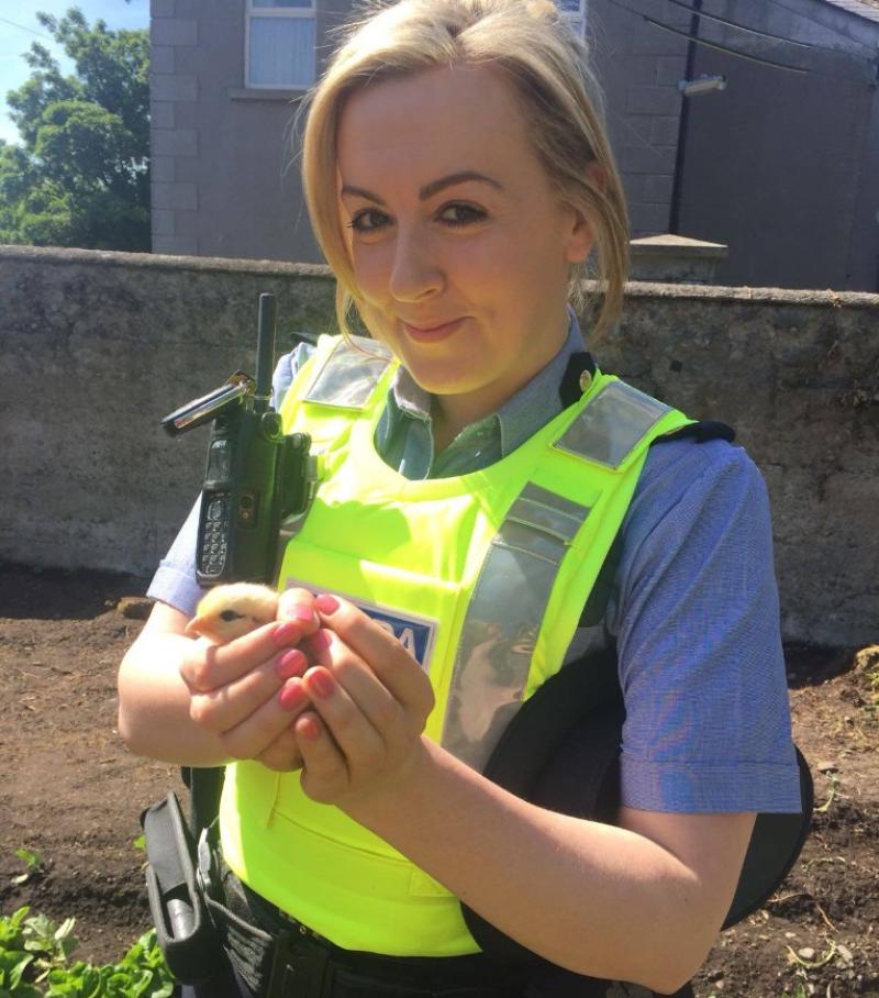 Kilkenny gardaí say 'no fowl play suspected'