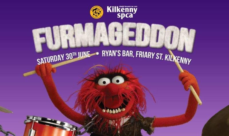 Fundraiser at Ryan's in aid of animal welfare charity