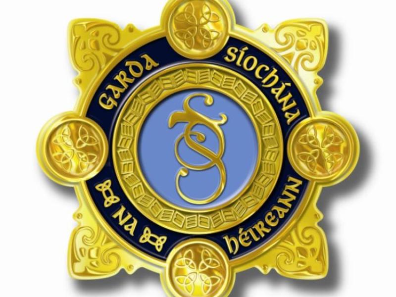 Breaking: Arrests made, significant drugs seizure in Kilkenny 