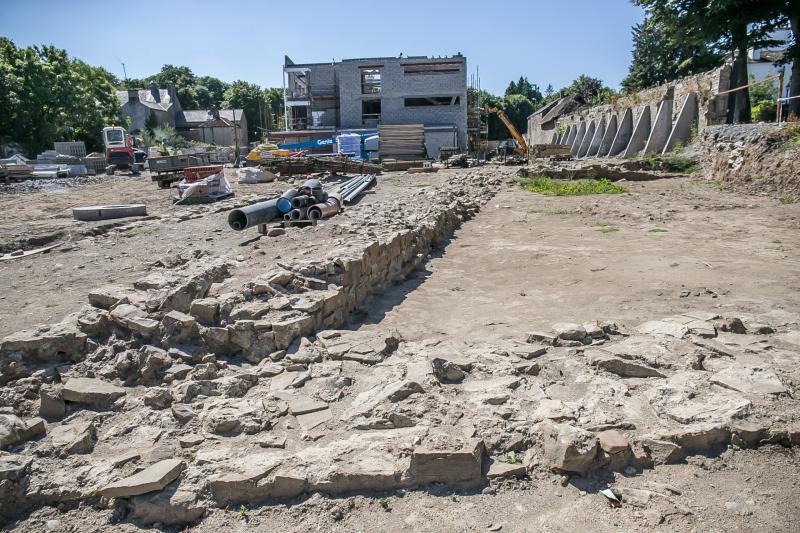 Lost 3.5 acre castle uncovered in Castlecomer Kilkenny Photos by Pat Moore