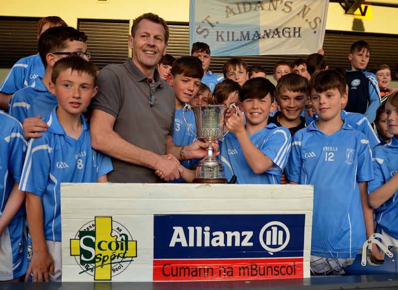 Kilmanagh produce hurling storm to blow away Clara 