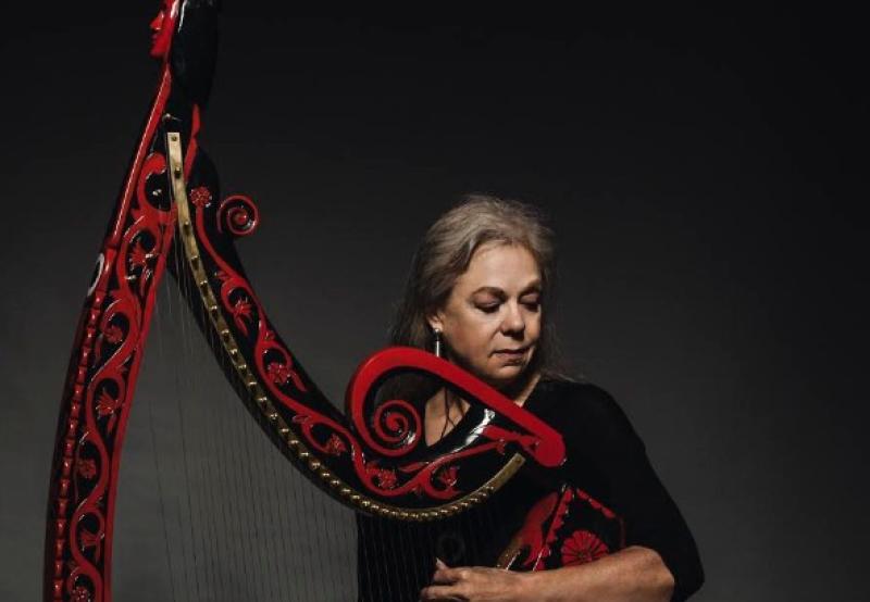 The early Irish harp