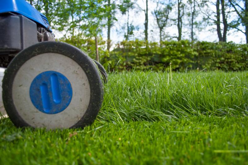 GRASS CUTTING