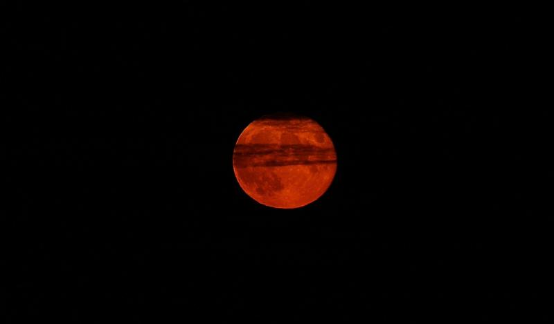 BLOOD MOON