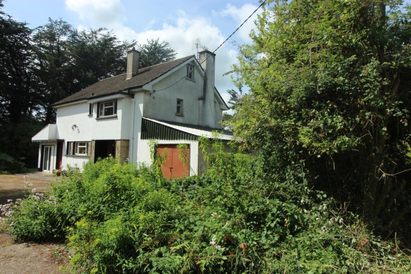 Kilkenny Property Watch: A home with potential in need of some work