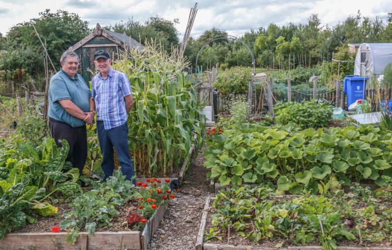 A slice of sustainable paradise on the edge of Kilkenny City