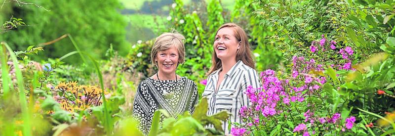 Sweet success for Mileeven honey made in south Kilkenny