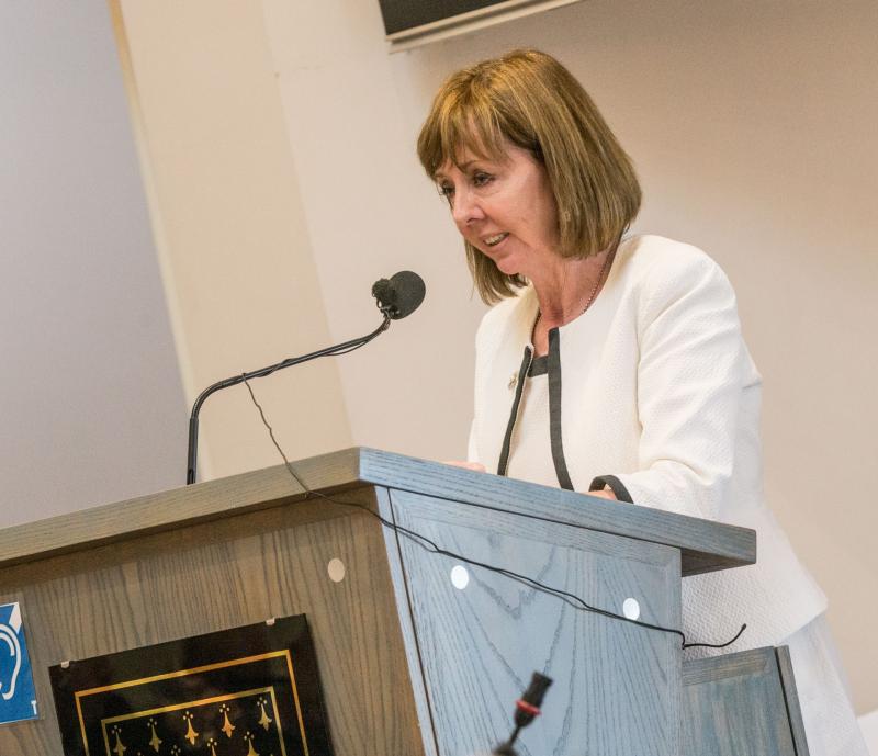Senator Joan Freeman speaking at Kilkenny County Council today