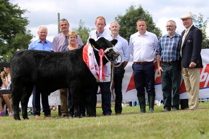 Seamus Neary, Kilkenny breeder scoops major award