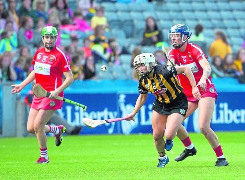Camogie Cats can bounce back, but handbrake must be taken off