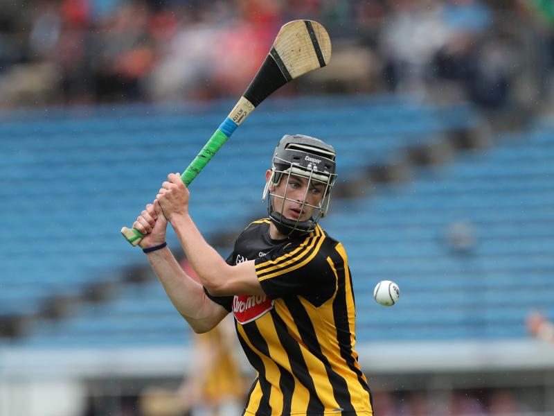 Team of Year: four Kilkenny minor hurlers feature on elite XV