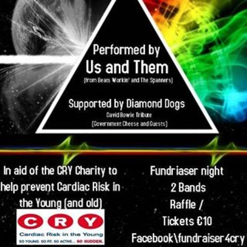 Kilkenny music fans urged to attend charity fundraiser
