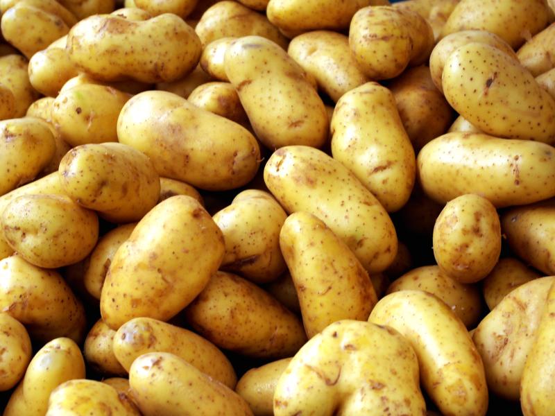 Opinion: Potato shortages, flooded fields and no fodder - will someone please think of the farmers!