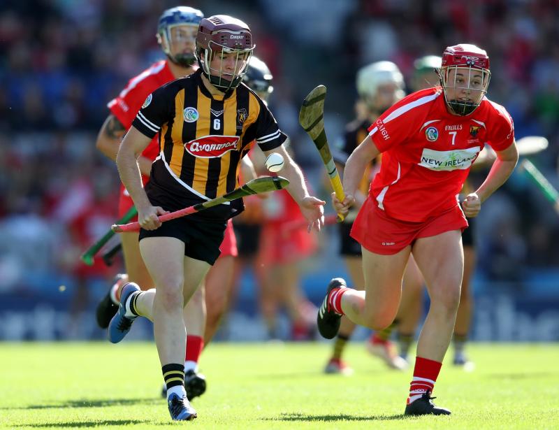 DaltonCamogie