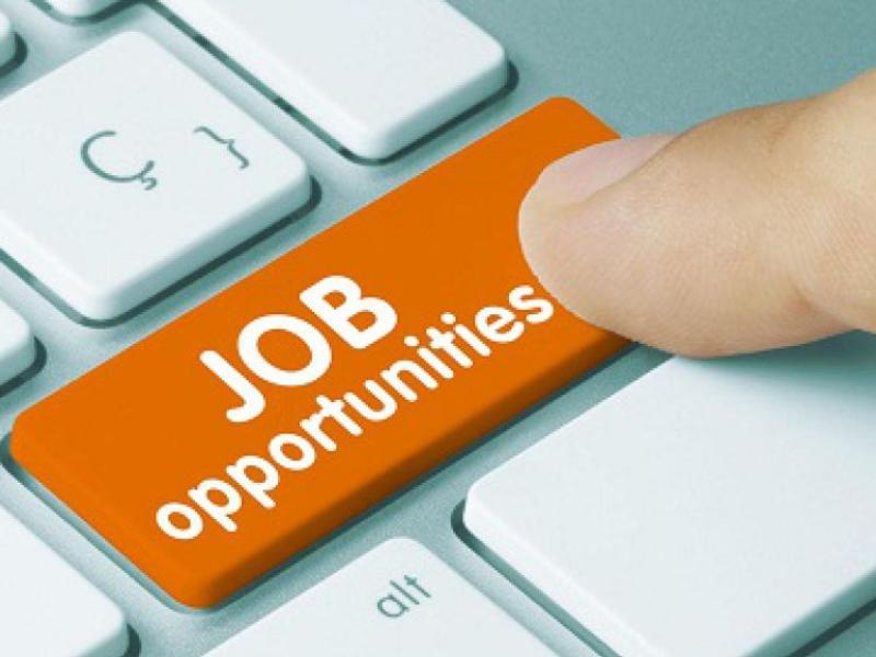 Kilkenny students urged to consider accountancy apprenticeship set to create 150 jobs