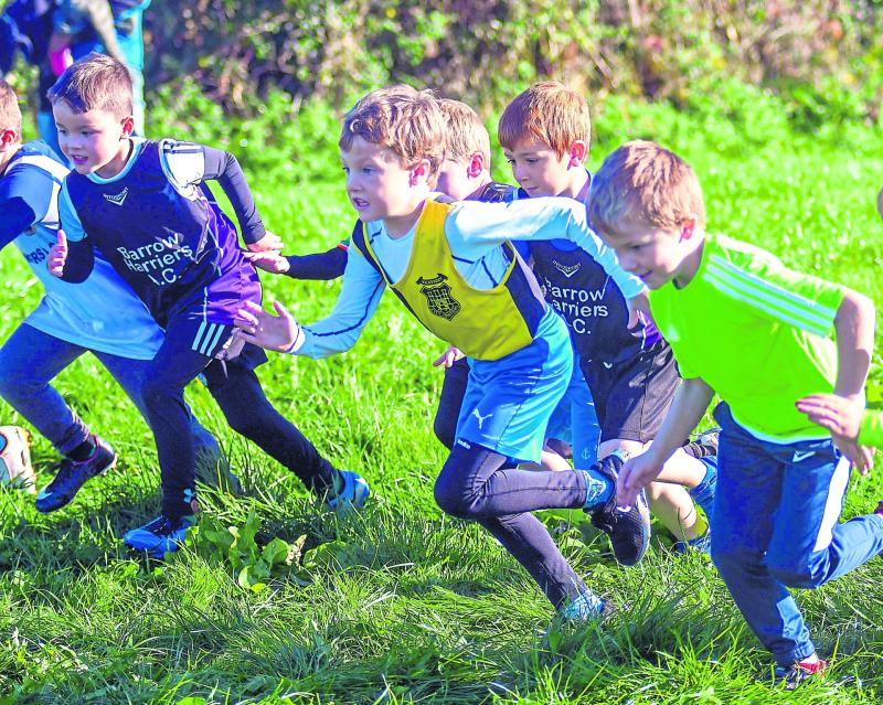 Athletics: glory for Gowran in Castlecomer 