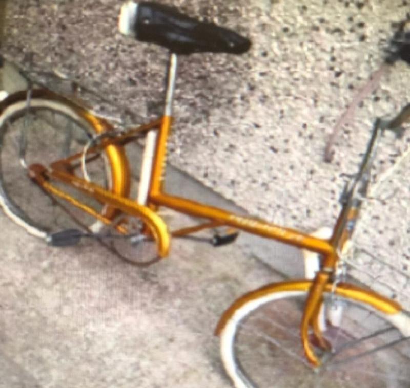 Beautiful 44-year-old bike stolen in Kilkenny