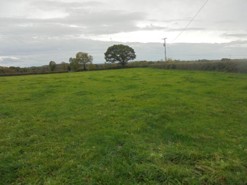Kilkenny land leases for €510 per acre