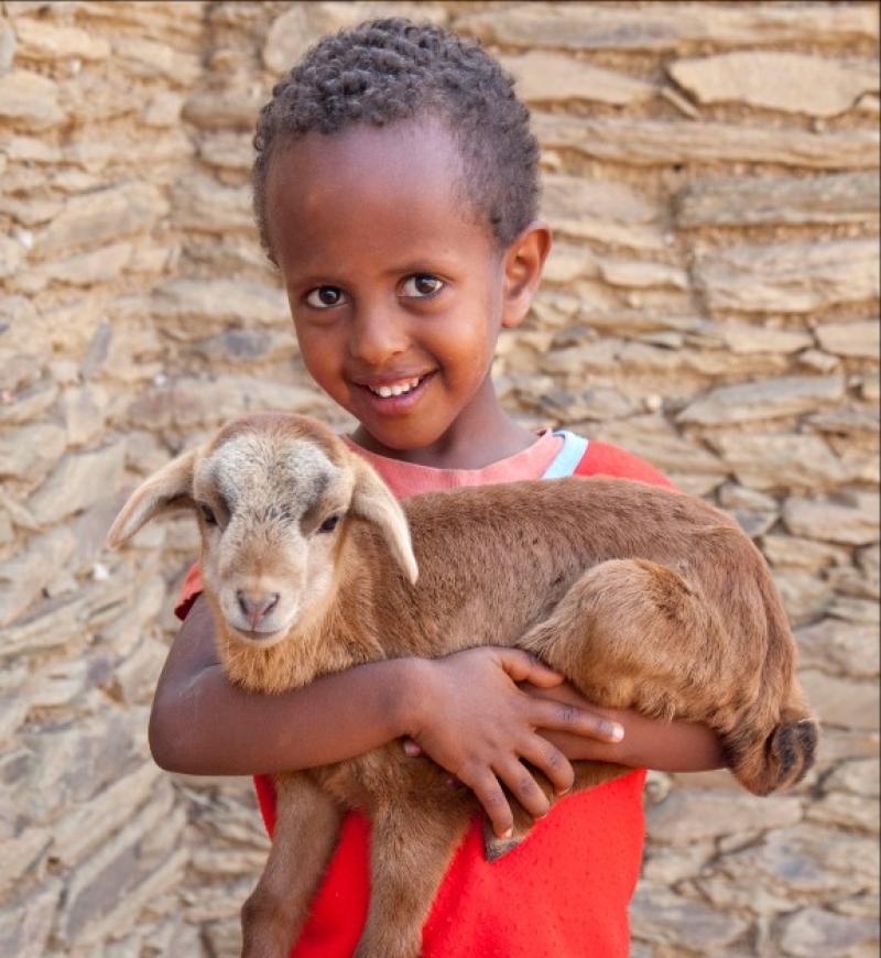 Trócaire  urge Kilkenny people to support their Christmas campaign