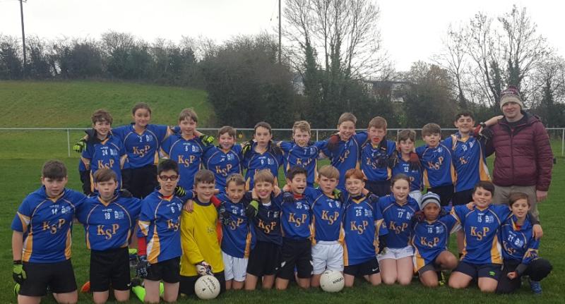 Kilkenny hurling: historic first win for the School Project