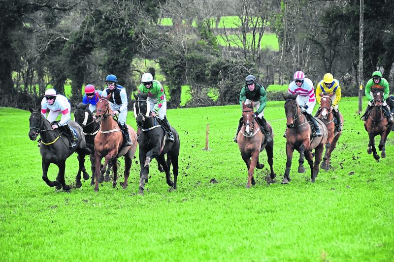 Point to point Kilkenny